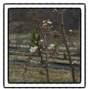 덕일농장 이미지