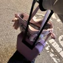 사이버굿 | 사이버 남미새의 도쿄 여행 1탄 (모모 생일 팝업 후기)