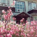 다향펜션 이미지