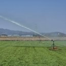 관수축산 이미지