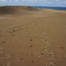 혼자만의 여행... 돗토리현 사구 [砂丘, sand dune]에서 이미지