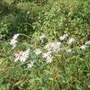 혜숙농장 이미지