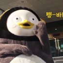 조선참치 - 구미시 | 조선참치