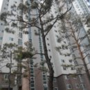 배울2로 이미지