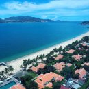 박미향 농장 | 베트남 - 이번 베트남 여행은 감성 뿜뿜 기차여행 어때? 베트남에서 가장 아름다운 기차루트 Best 8