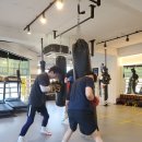 율전체육관