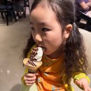 명동미디어 | 그라운드시소 명동 전시회 어린왕자 미디어아트 후기