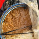 발효액비의 중요성 The Importance of Fermented Liquid Fertilizers-식물과 환경 측면 이미지