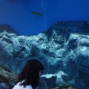 보광목장 | 즐거웠던 충청도 데이트 이야기