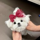 울엄마클라쓰