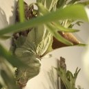 연빈화실 이미지