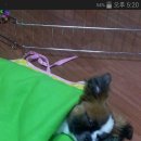 우리마루 Daum카페