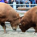 화산체육공원5 이미지
