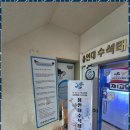 용인대수석태권도 이미지