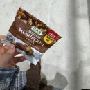 비에프팜 | 어 비건페스타 다녀오느라 수고했고 언니가 신기한 기념품들 다 보여줄게