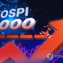 4000 이미지