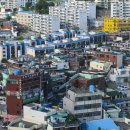 기무태권도 이미지