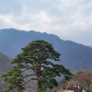 큰솔가든 이미지