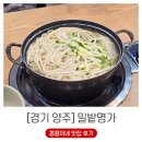 중소기업정보관 화장실 | 면 삶고 만두 찌는 중소기업 양주 맛집 밀밭명가 캐치테이블 내돈내산 (ft. 구 밀밭칼국수 2호점)