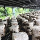 청봉농장 이미지