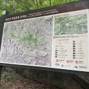 등산·신발 | 대구 근교 경산 팔공산 갓바위 경산방향 등산코스 등산 후기