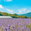 사곡리 데크 이미지