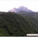 범골조기회 이미지