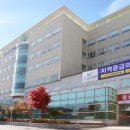 연세조은