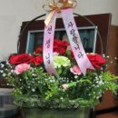 능골농장 Daum카페