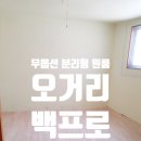 금화장 이미지