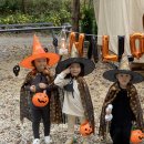 하늘바라기캠핑장 이미지