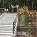 공주산림휴양마을 유아숲체험원 이미지