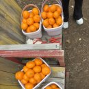 문식농장 이미지