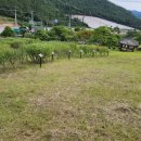 백동무궁화동산 이미지