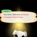 캠프다운 이미지