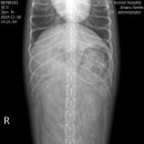 송도 종합 동물병원 이미지