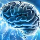 퍼스트 휘트니스 이미지