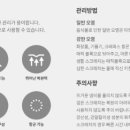 일룸청주