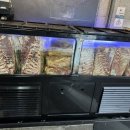 더하다 양정점 이미지