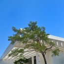 한밭수목원2 이미지