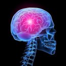 터미널 헬스 이미지