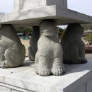(주)사자네 이미지