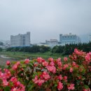MSC앞 | 양산 대규모 공장 알바 후기 2탄