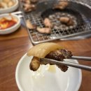 엄마꼼장어 | [부산 자갈치시장] 엄마집숯불꼼장어 :: 부산 꼼장어 맛집 내돈내산 솔직후기