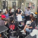 가덕초교 병설유치원 | [청주 애견미용학원] 10년 전통의 내공, '청주탑애견미용학원' 방문 후기 및 자격증 가이드