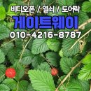 필동물종합병원 이미지