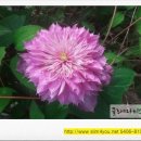 벧엘농원 이미지