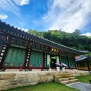 고한모노레일 | 강원도 정선여행코스 5곳 추천명소