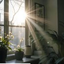 신점선생묘 | 아산용한점집 신점 추천 산소탈 치성으로 풀린 집안 기운