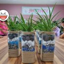 다비농장 이미지